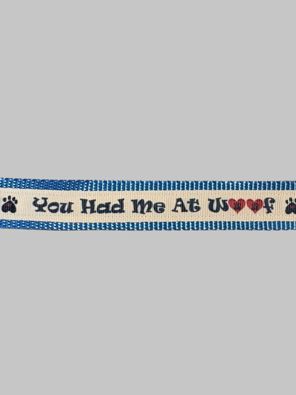 Dog Leash Webbing 66